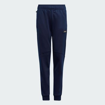 Pants adidas Adventure