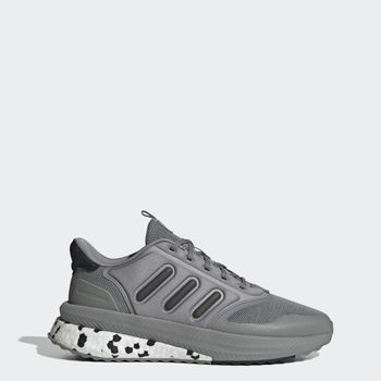 Tenis X_PLR Phase