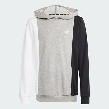 Sudadera con capucha Essentials Colorblock Kids