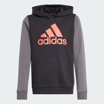 Sudadera con Gorro Essentials Big Logo Colorblock Kids