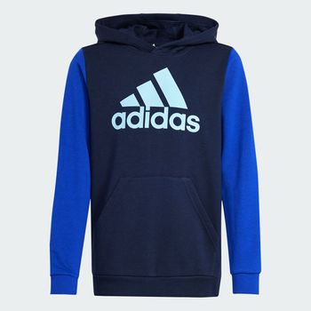 Sudadera con Gorro Essentials Big Logo Colorblock Kids