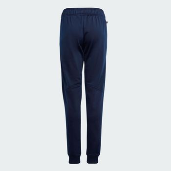 Pants adidas Adventure
