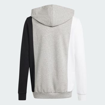 Sudadera con capucha Essentials Colorblock Kids