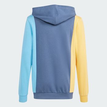 Sudadera con capucha Essentials Colorblock Kids