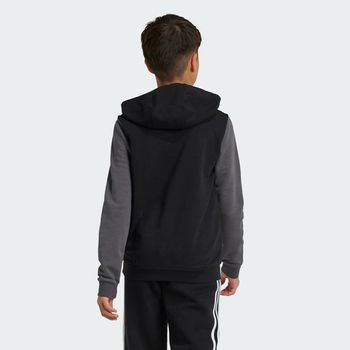Sudadera con Gorro Essentials Big Logo Colorblock Kids
