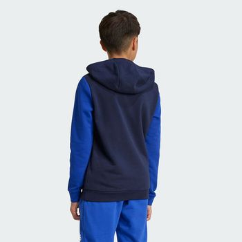 Sudadera con Gorro Essentials Big Logo Colorblock Kids