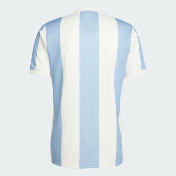 Camiseta Argentina Aniversario
